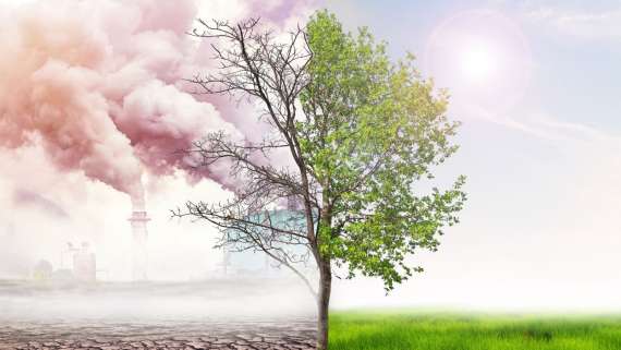 Fundación Biodiversidad convoca becas de formación para impulsar la acción climática juvenil en la Cumbre del Clima – Generación Clima COP31.
